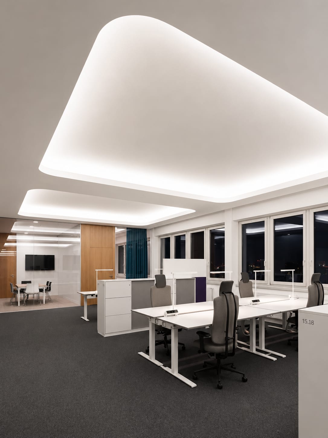 Corporate Office Ceiling