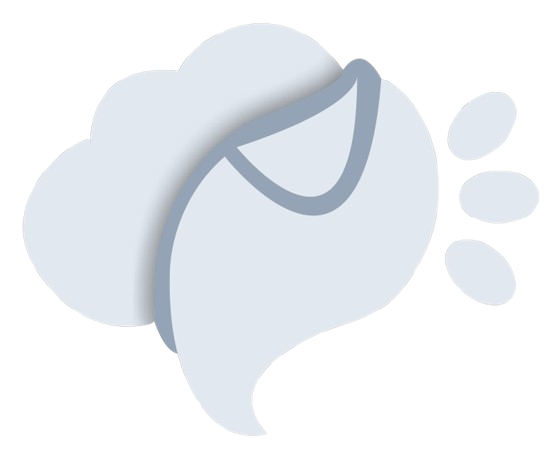 Wikisa Logo